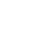 icon website